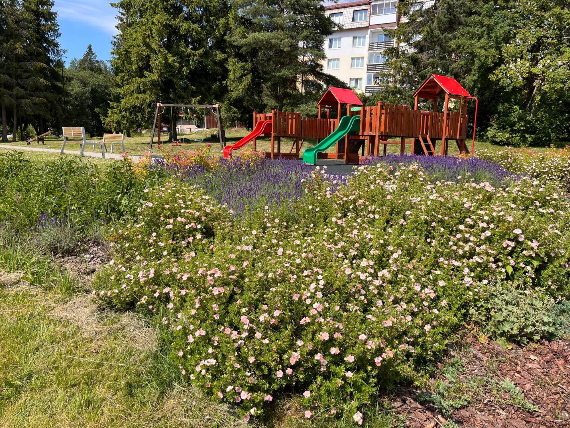 Cozy Apartment By The Forest Tatranska Strba Dış mekan fotoğraf